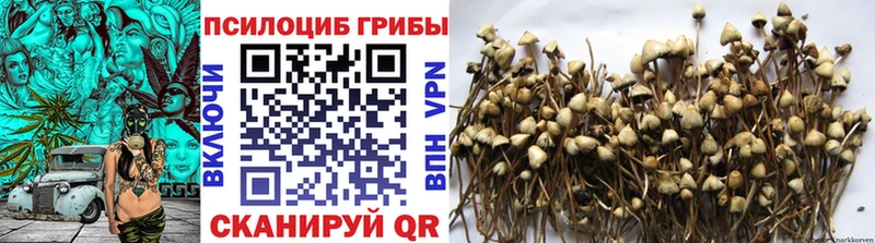 Псилоцибиновые грибы мицелий Сольвычегодск